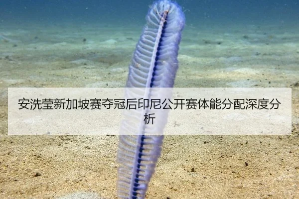 安洗莹新加坡赛夺冠后印尼公开赛体能分配深度分析